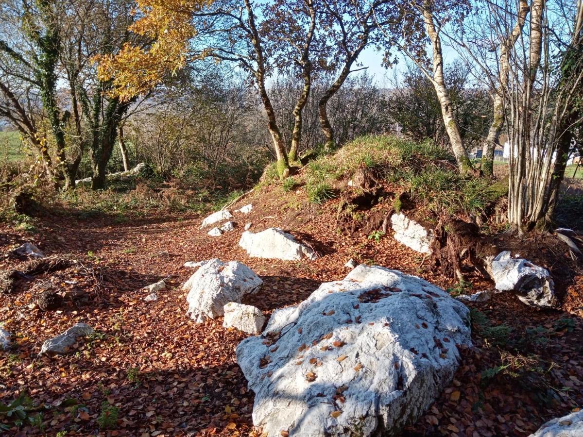 Le Rocher Du Samoyede Dirinon Exteriör bild