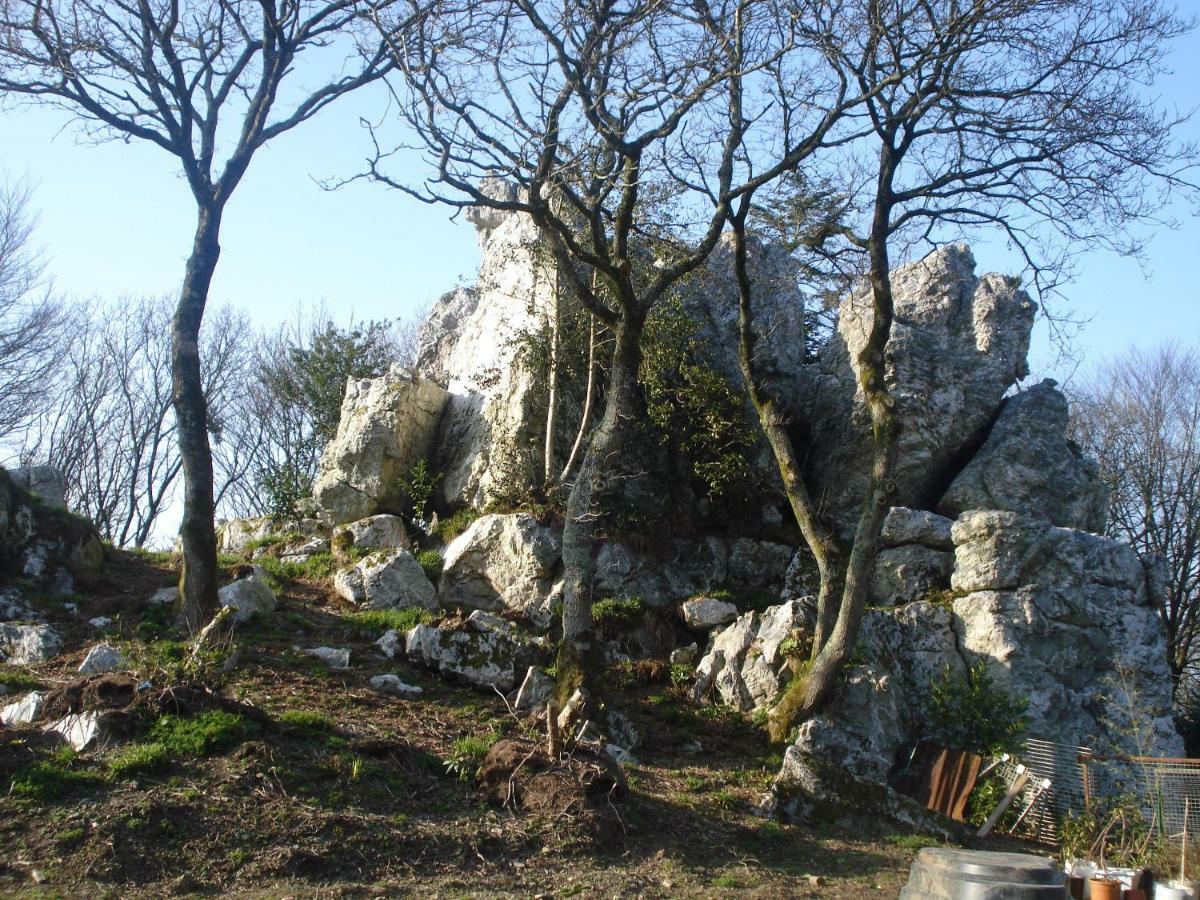 Le Rocher Du Samoyede Dirinon Exteriör bild